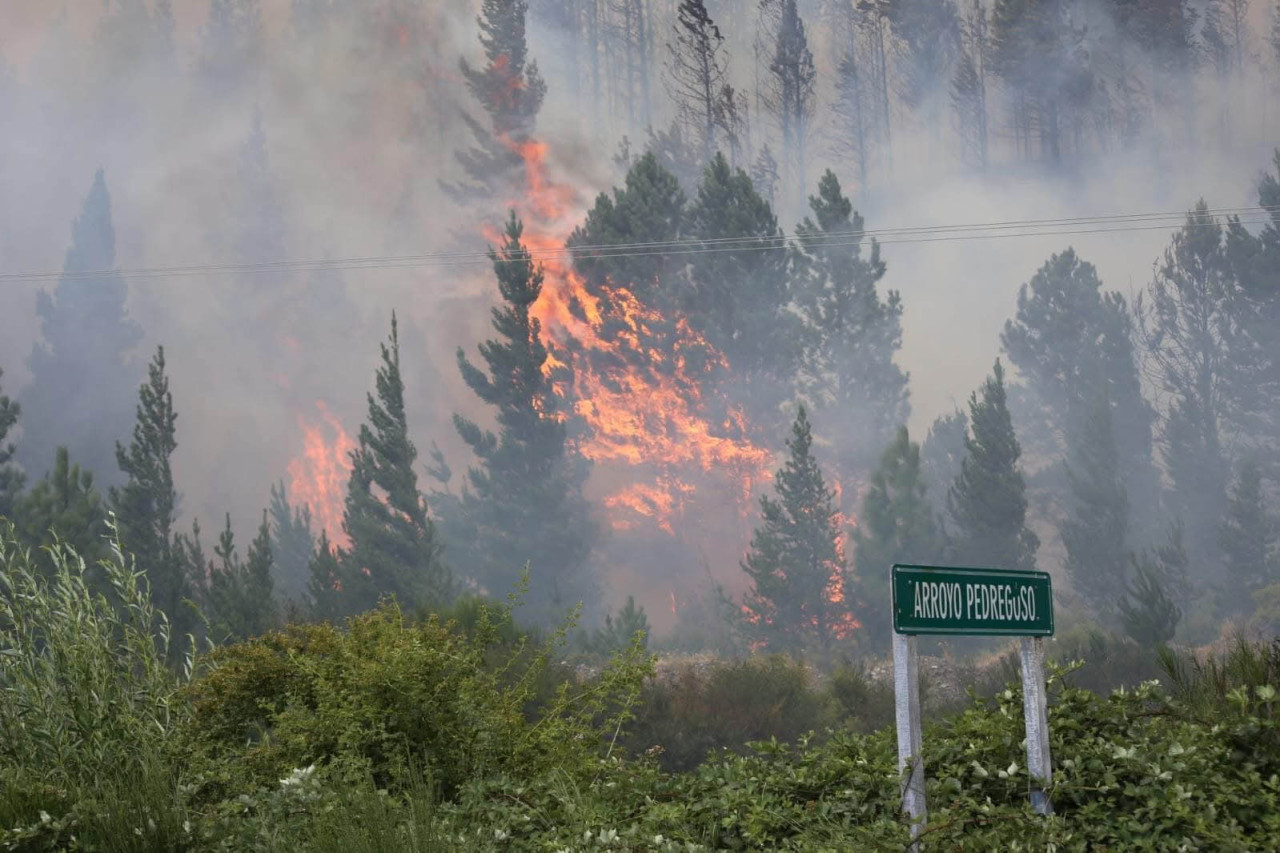 Incendios en Epuyén. Foto: NA.