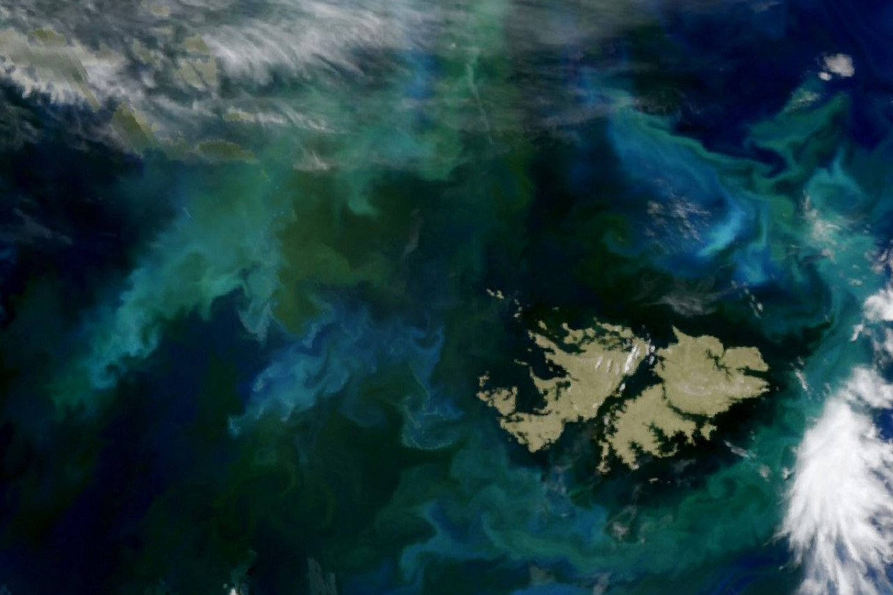 Las Islas Malvinas rodeadas de fitoplancton. Foto: Espectrómetro de Imágenes MODIS en el satélite Terra  de la NASA