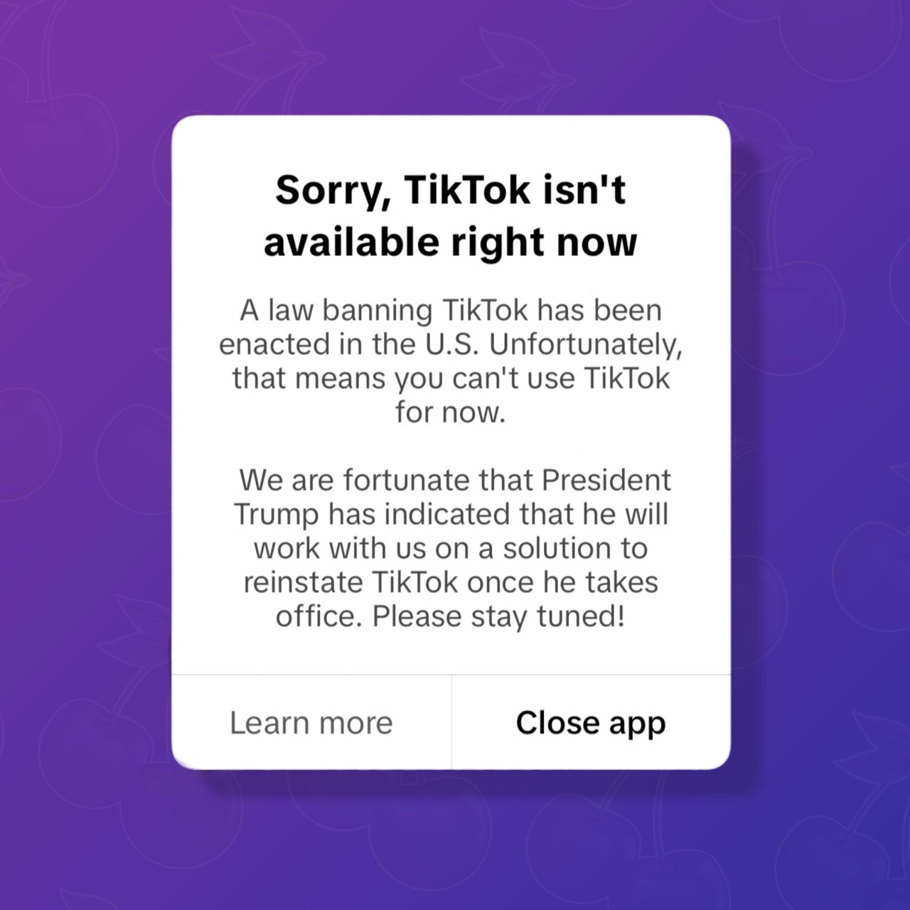 El mensaje enviado por TikTok a sus usuarios en Estados Unidos. Foto: Captura TikTok.