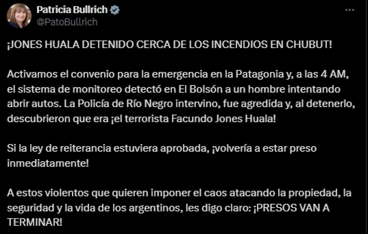 El mensaje de Patricia Bullrich tras la detención de Facundo Jones Huala. Foto: x PatriciaBullrich.