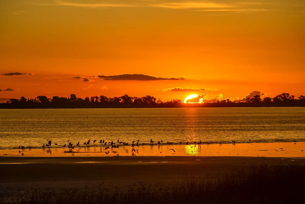 Chascomús, en Buenos Aires. Foto: Turismo Chascomús.