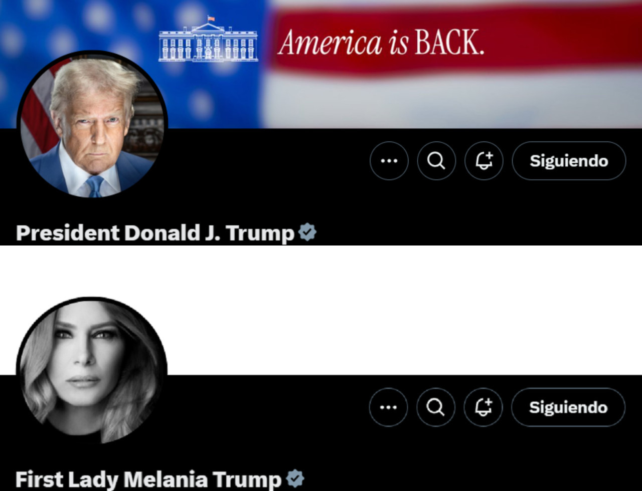 La cuentas oficiales del presidente y la primera dama de Estados Unidos. Foto: captura