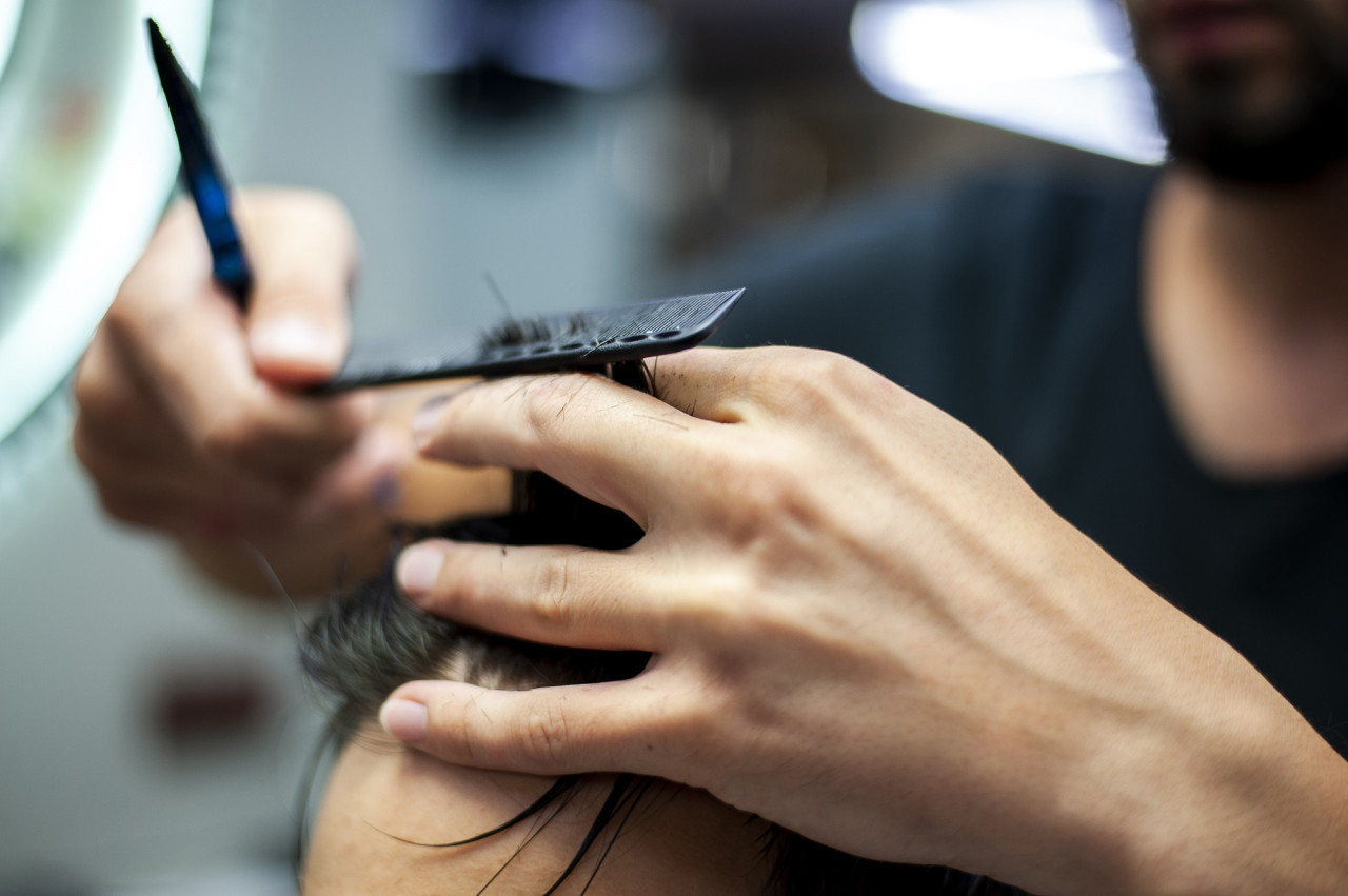 Pelo, corte de pelo, tiña capilar, cabello, peluquería. Foto Freepik