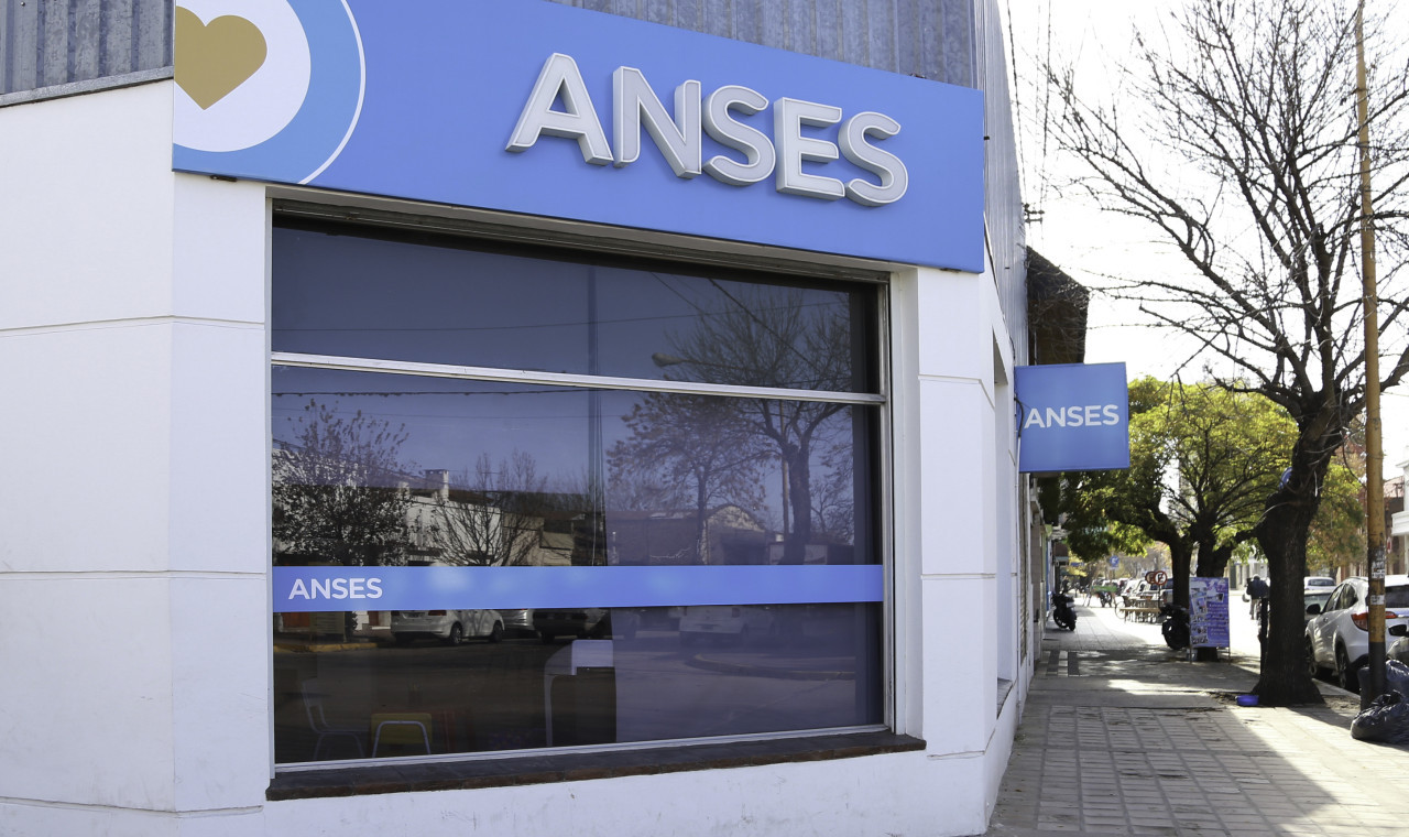 ANSES. Foto: NA.