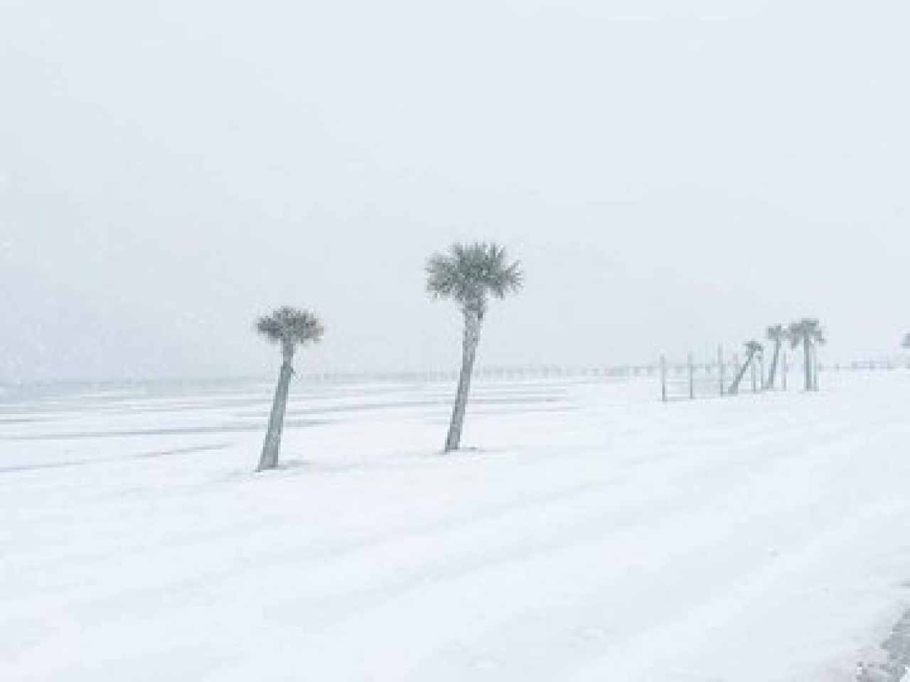 Las playas cubiertas de nieve a lo largo de la Costa del Golfo de México, desde Texas a Florida. Foto X @maiklaguna