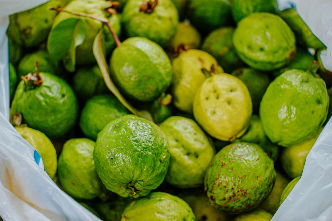 La guayaba tiene alto contenido en antioxidantes y vitamina C. Foto: Unsplash.