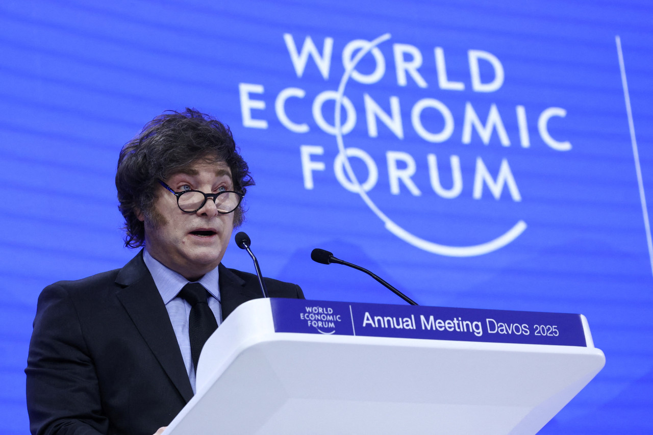 Javier Milei en el Foro de Davos. Foto: Reuters.