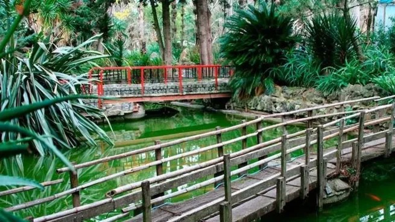 Mizujo, una encantadora aldea japonesa en Buenos Aires. Foto Instagram @mizujocampolibre_oficial