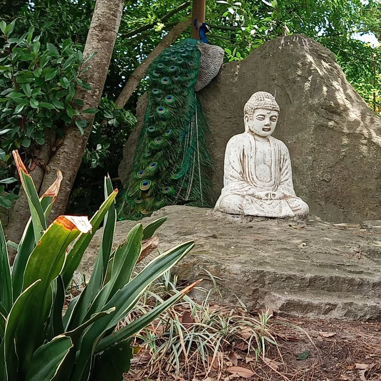 Mizujo, una encantadora aldea japonesa en Buenos Aires. Foto Instagram @mizujocampolibre_oficial