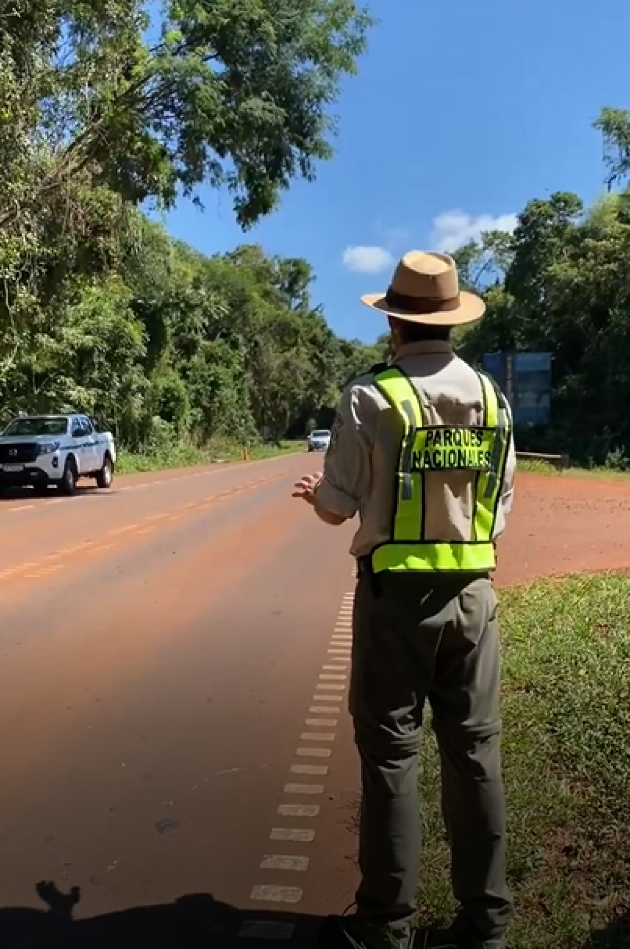 Rutas nacionales; Parque Nacional Iguazú. Foto: Captura de video.