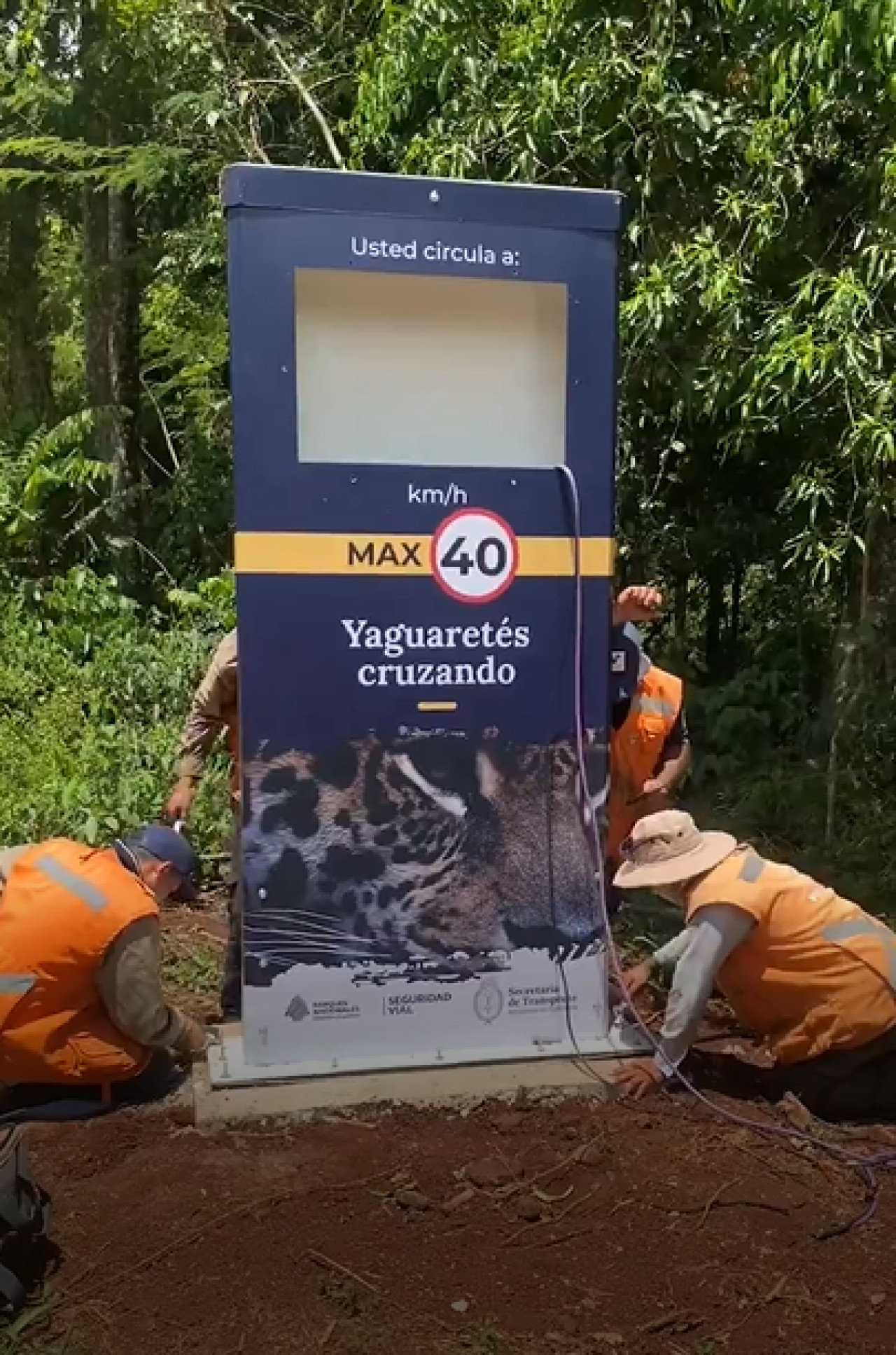 Tótems de seguridad de las rutas del Parque Nacional Iguazú. Foto: Captura de video.