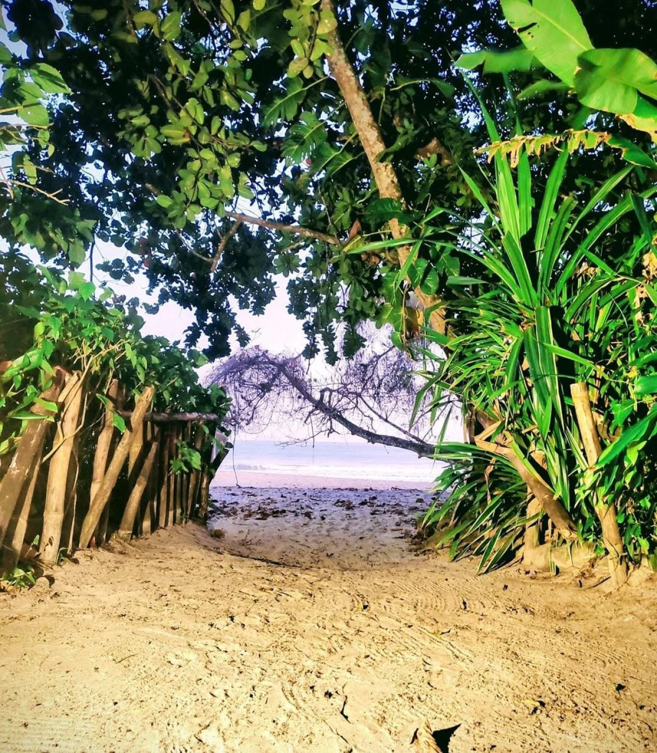 Prainha do Félix, en Brasil. Foto: Instagram / praiadofelixubatuba.