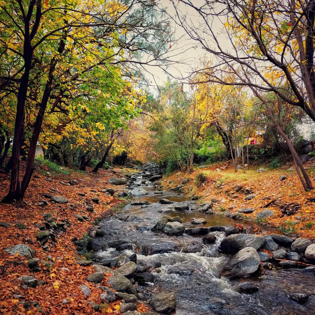 San Javier, Córdoba. Foto Instagram @sanjavieryacantoturismo