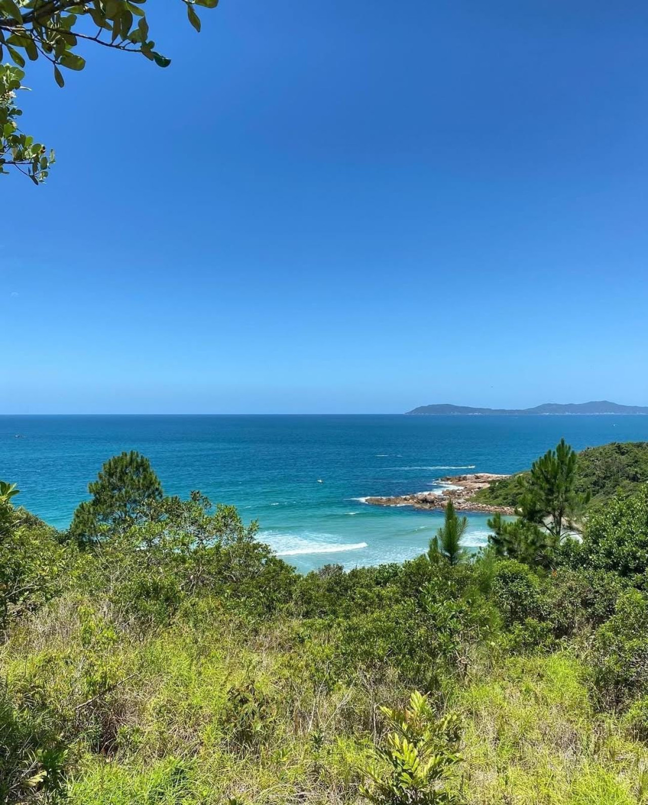 Praia de Palmas, en Governador Celso Ramos, Brasil. Foto: Instagram / praiadepalmas.