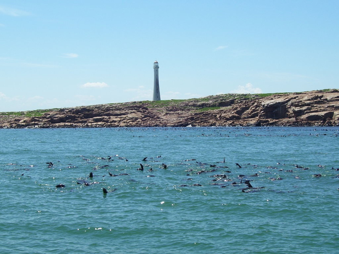 Isla de Lobos, Punta del Este, Uruguay. Foto: Wikipedia.