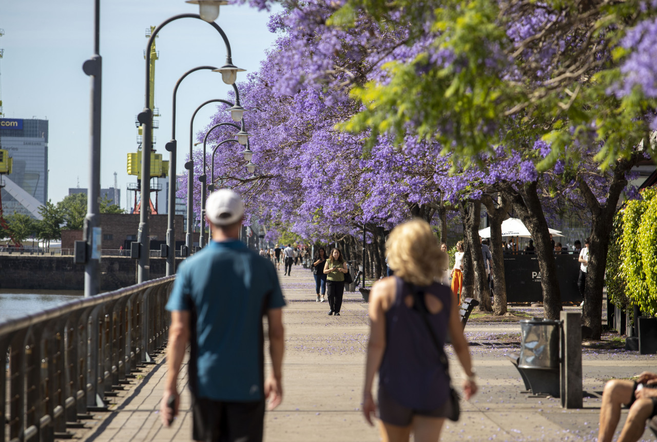 Calor en la Ciudad de Buenos Aires. Foto: NA/Damián Dopacio.