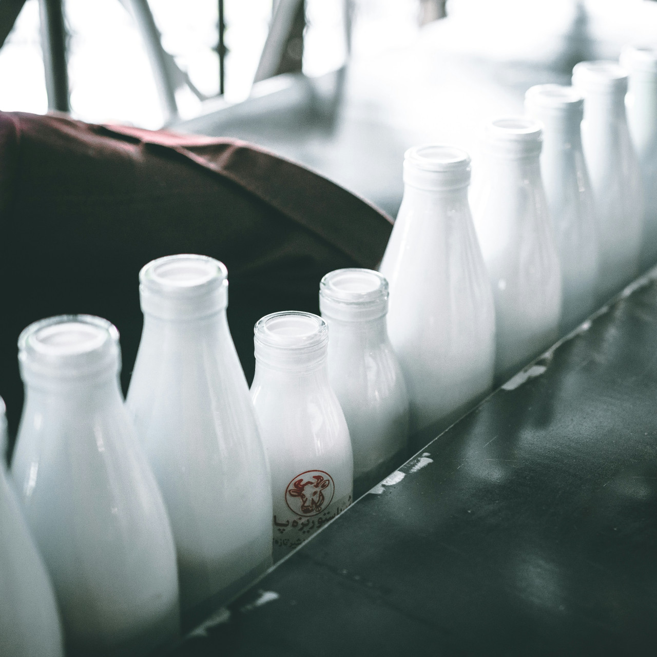 Leche, calcio, lácteos. Foto: Unsplash