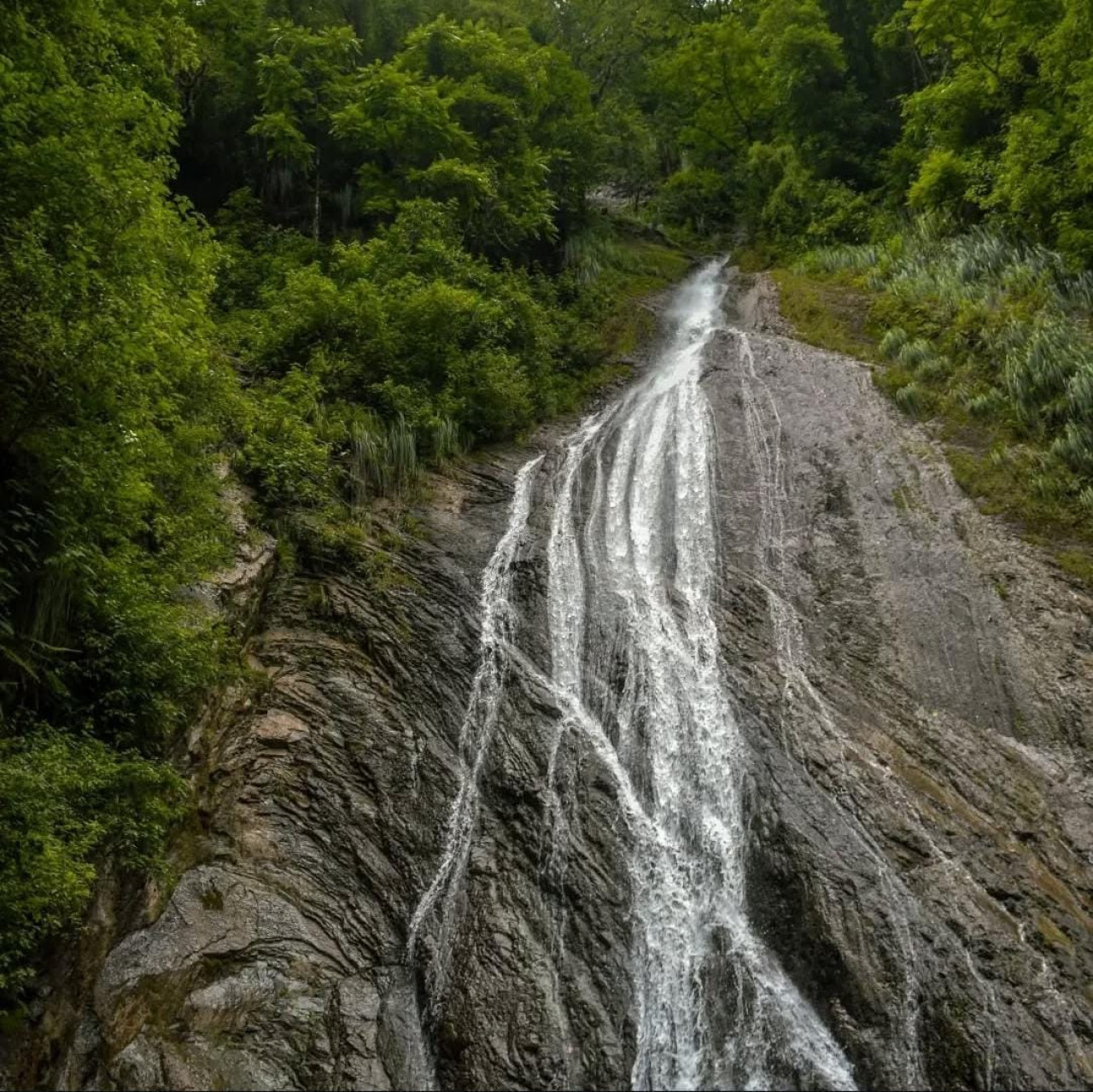 Parque Nacional El Rey, en Salta. Foto: Instagram / parquenacionalelrey.