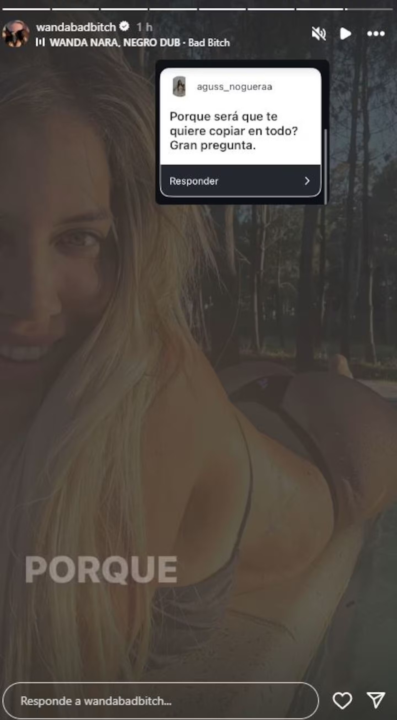 Wanda Nara contesta a sus seguidores. Fuente: Instagram