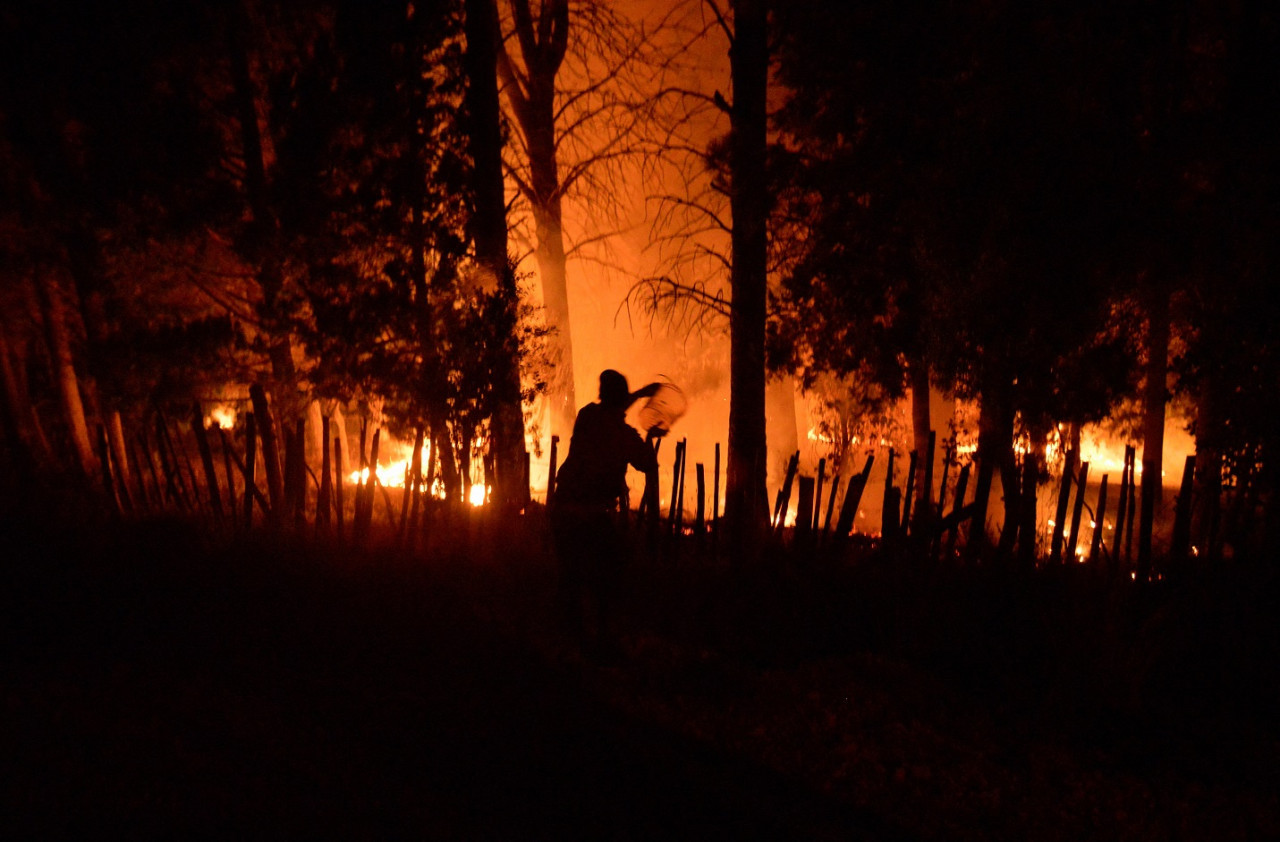 Incendios en El Bolsón. Foto: Reuters/Marcelo Martinez