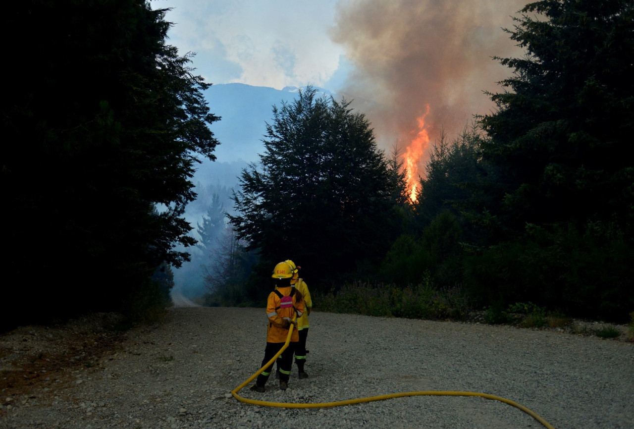 Incendios en El Bolsón. Foto: Reuters/Marcelo Martinez