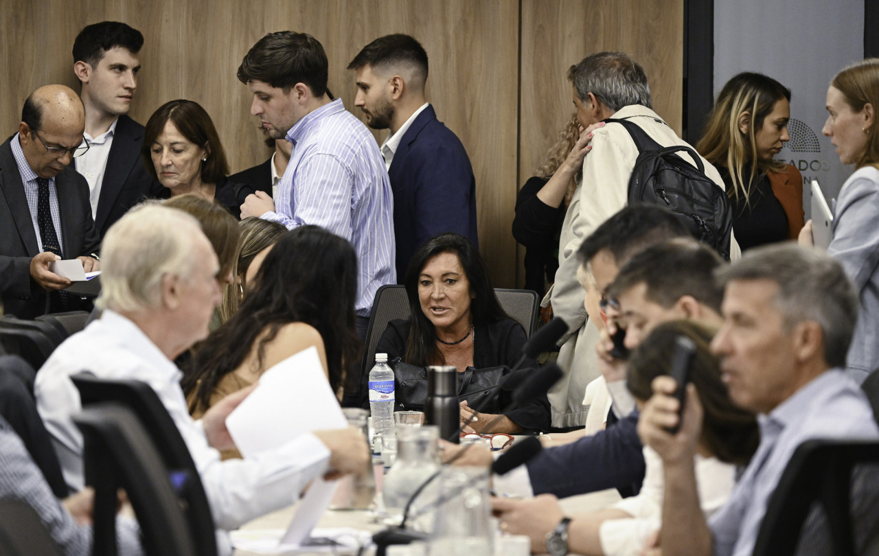 Debate en comisión del proyecto Ficha Limpia. Foto: NA.