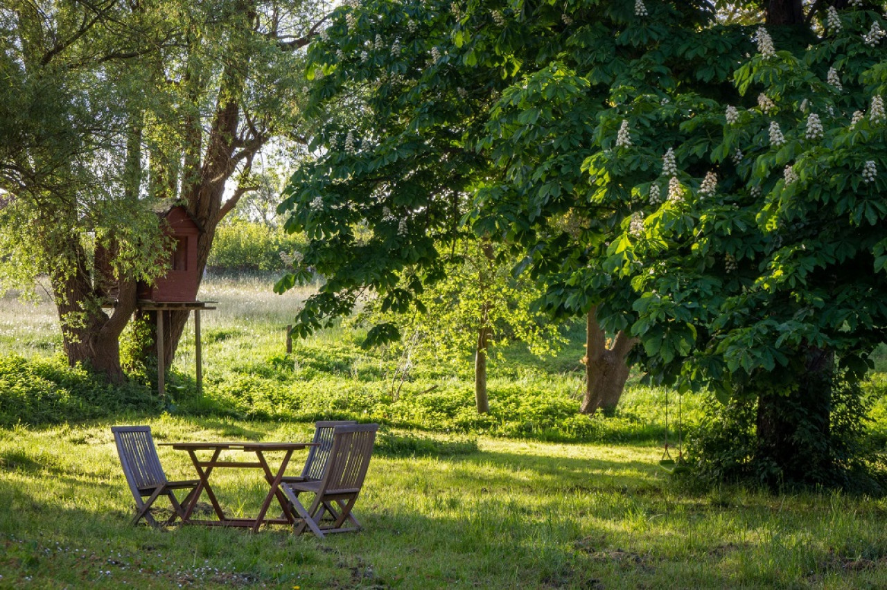 Jardín, patio, naturaleza. Foto: Unsplash.