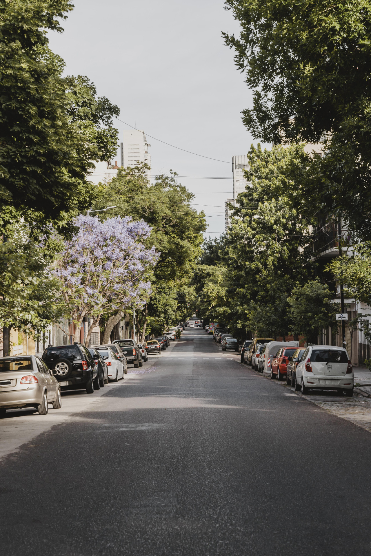 Calles de Buenos Aires. Foto: Freepik