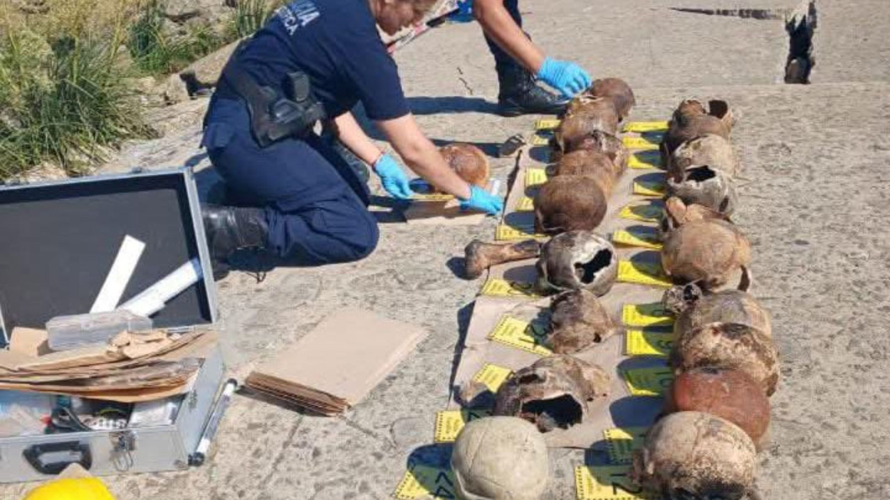 Cráneos encontrados en Quilmes. Foto: Policía.