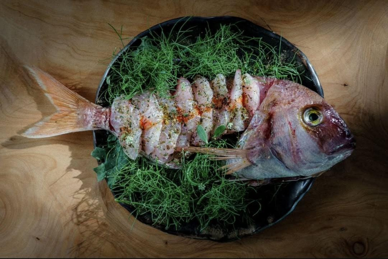 Proyecto Pescado, en Mar del Plata. Foto: Instagram / proyectopescado.