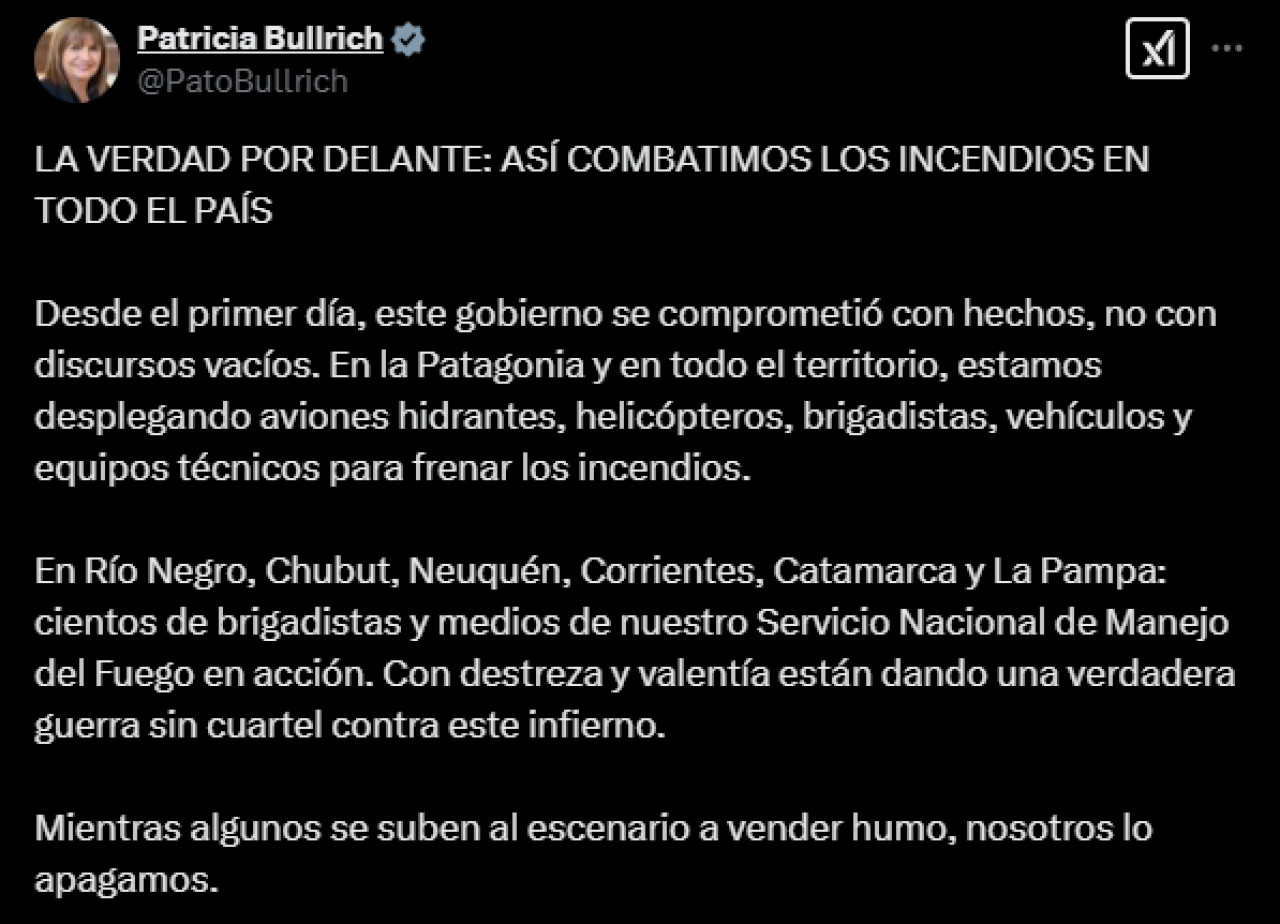 El mensaje de Patricia Bullrich, ministra de Seguridad. Foto: X / @PatoBullrich.