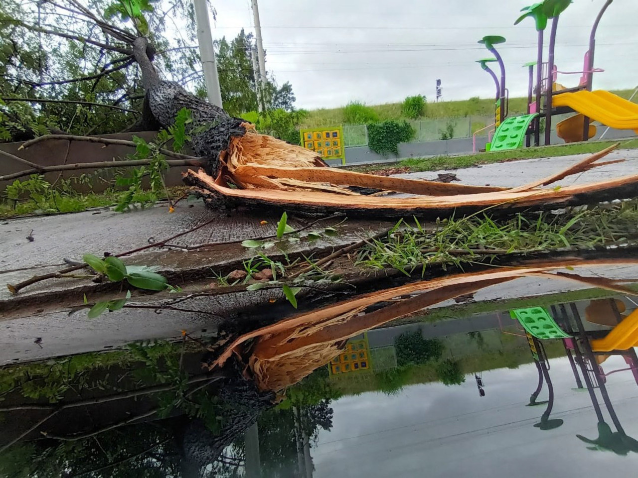 Un fuerte temporal se registró en la zona del AMBA con ráfagas superiores a los 80 km/h que provocaron la voladura de techos y caída de árboles- FOTO: CLAUDIO FANCHI/NA