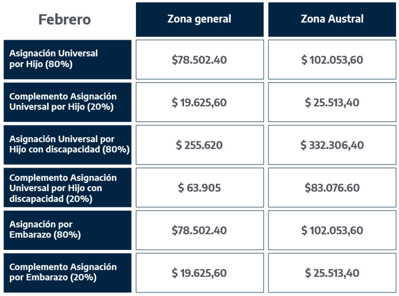 Montos de Asignación Universal por Hijo y por Embarazo para Protección Social en febrero. Foto: ANSES.