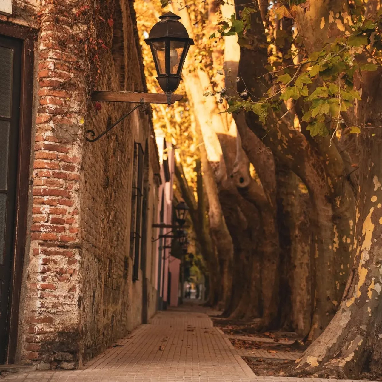 El hoy llamado Barrio Histórico de Colonia es una visita obligada. Foto: Instagram @coloniadelsacramentouy