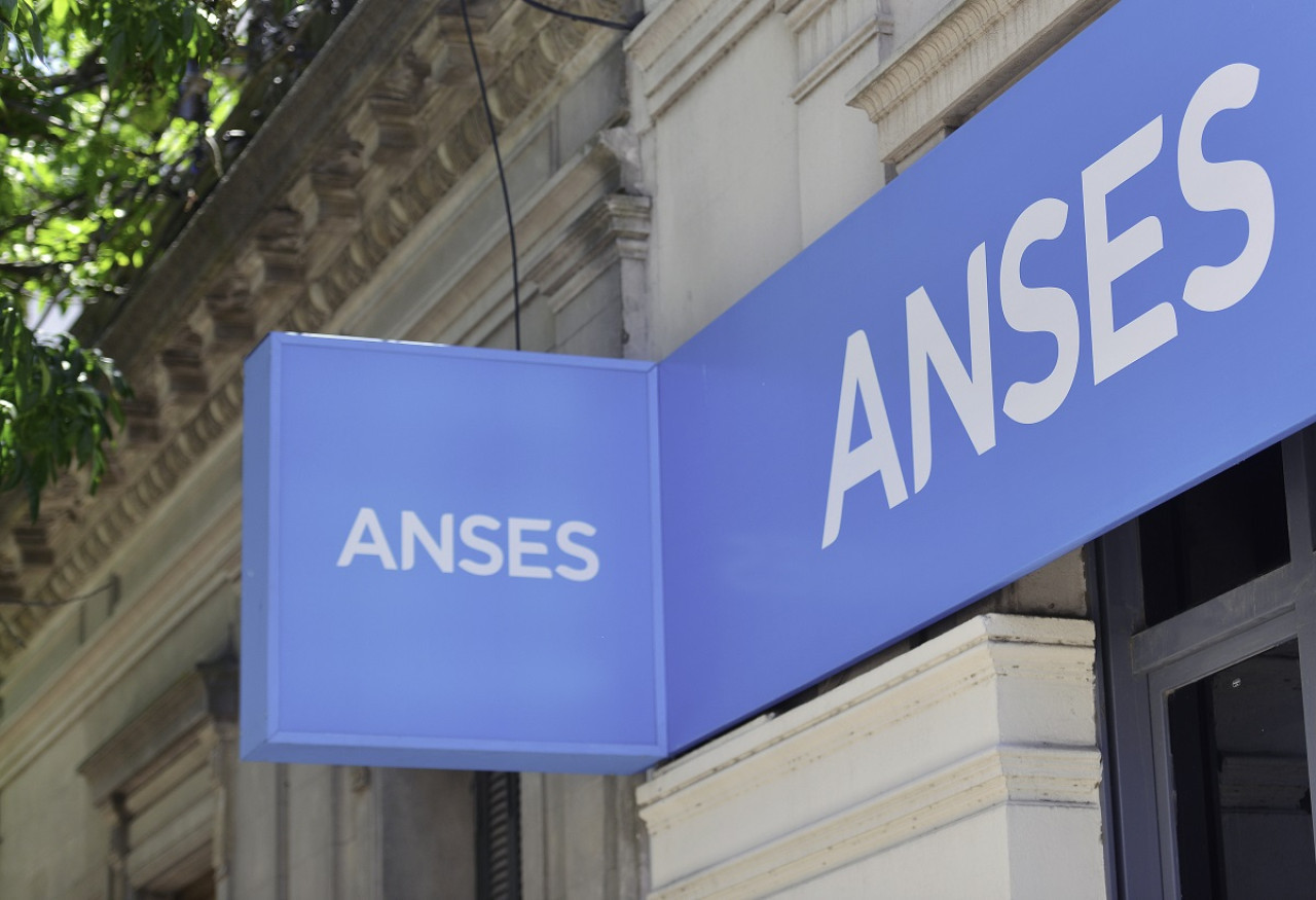 ANSES. Foto: NA.