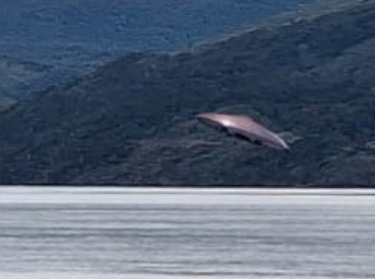 Aseguran haber visto un OVNI en el Canal Beagle. Foto: Diario Jornada