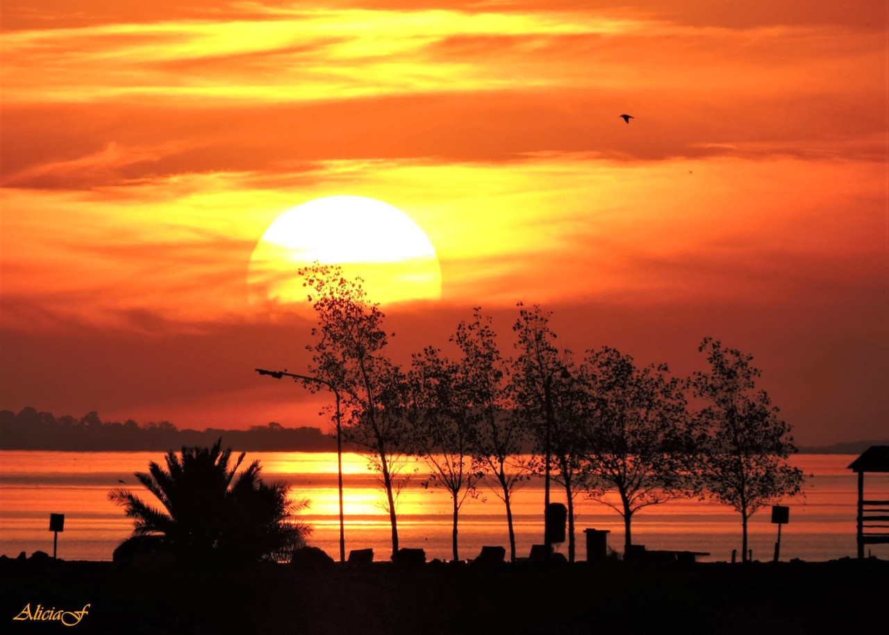 Laguna Cochicó, en la provincia de Buenos Aires. Foto: Facebook: Laguna Cochicó.