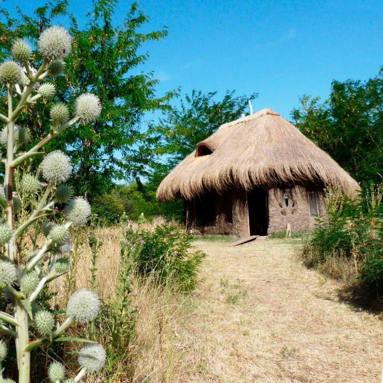 Viviendas sustentables de barro y madera en la eco-villa Gaia, en Navarro, Provincia de Buenos Aires. Foto: Instagram/ecovilla_gaia