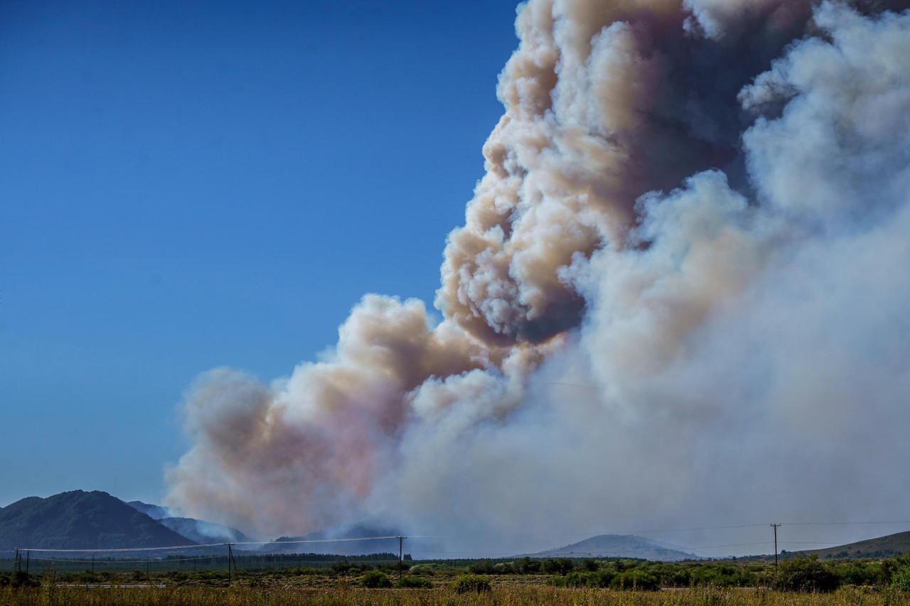 Incendios forestales en la Patagonia. Foto: EFE (Greenpeace)