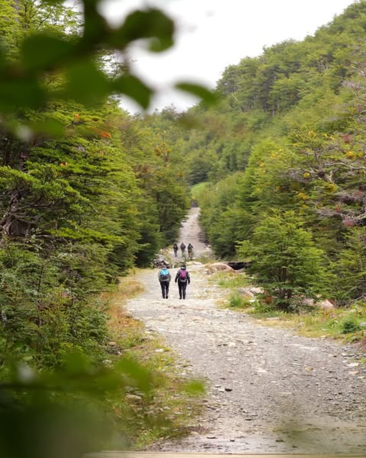 Caminar y pagar un impuesto. Foto: Instagram @cerromartial