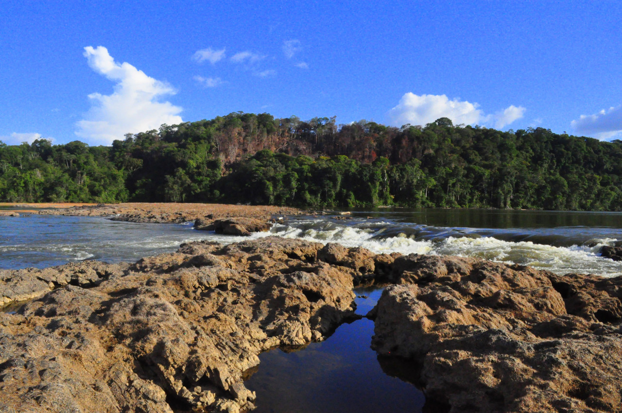 Guayana Francesa. Foto: Wikipedia