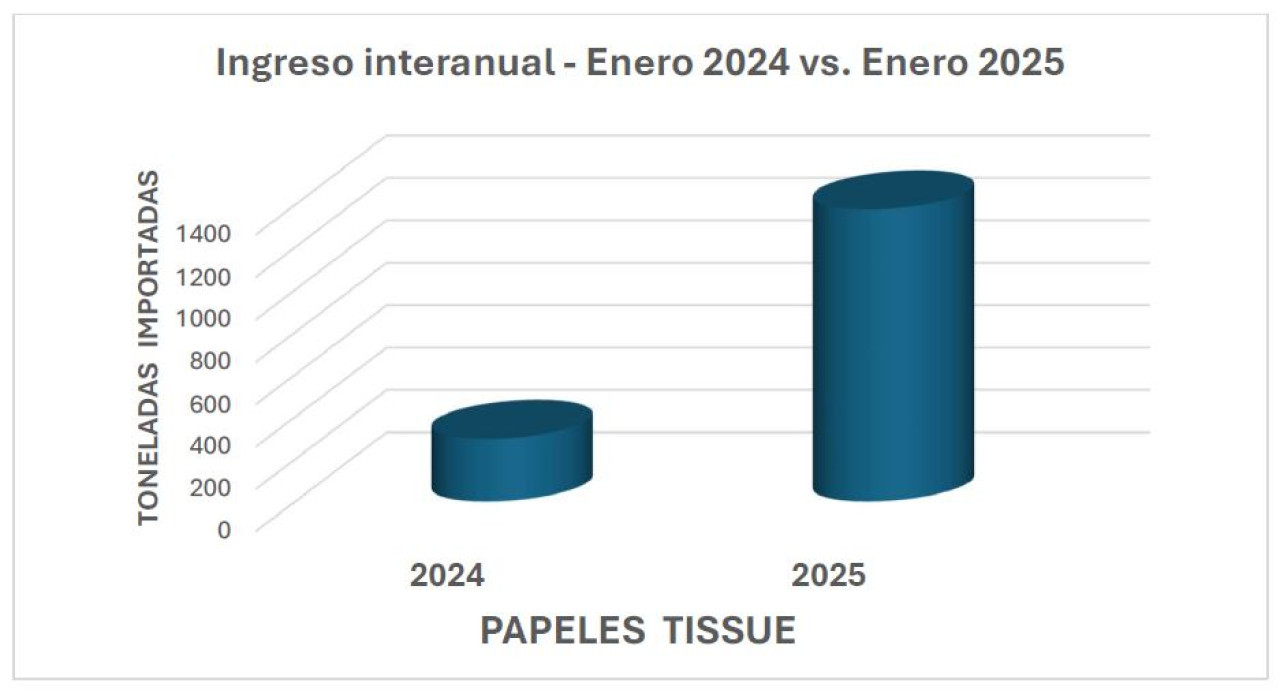 Importación de papel tissue 2024 vs 2025. Informe Sistema Aduanero Argentina.