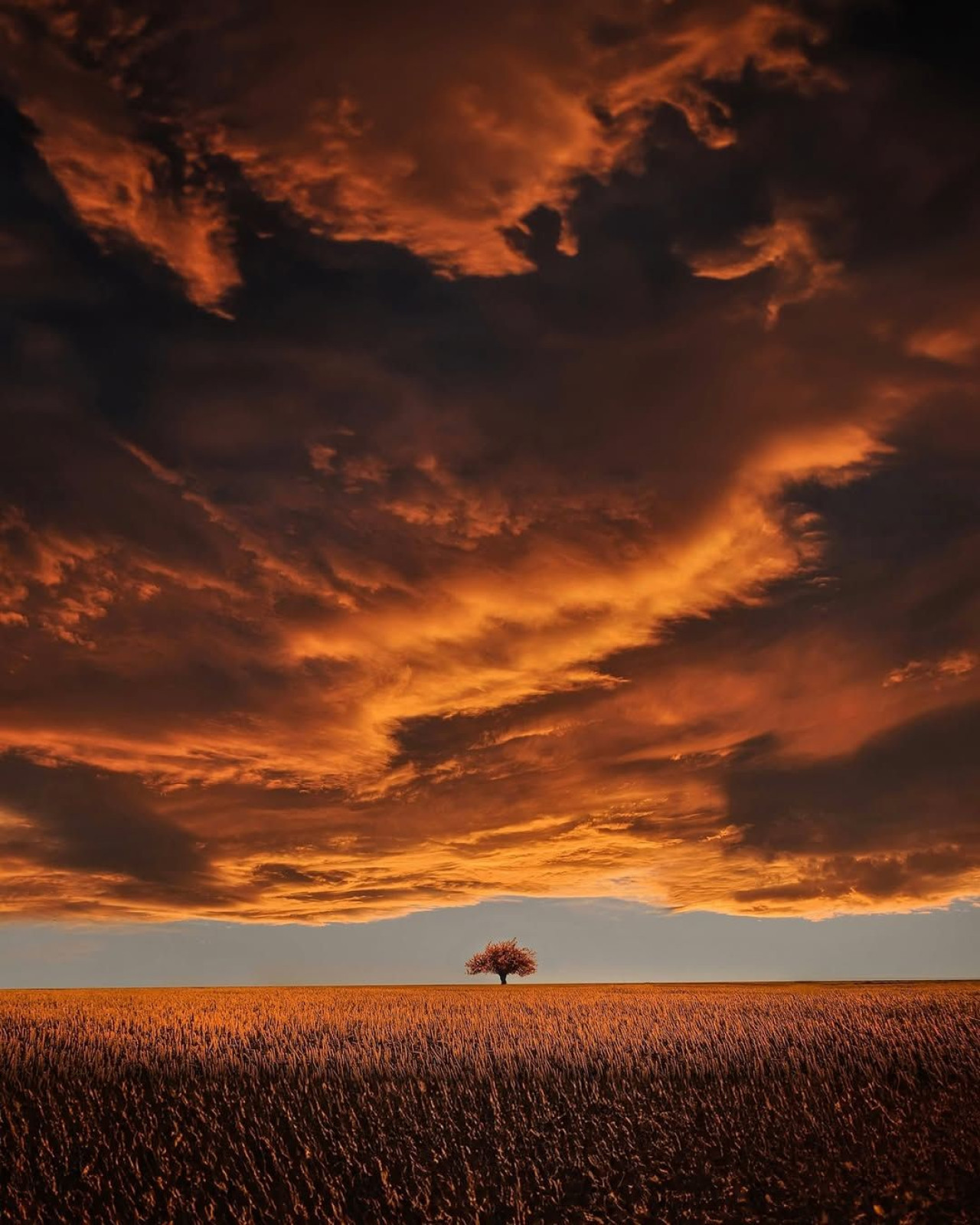 Atardecer en La Pampa. Foto: Turismo La Pampa