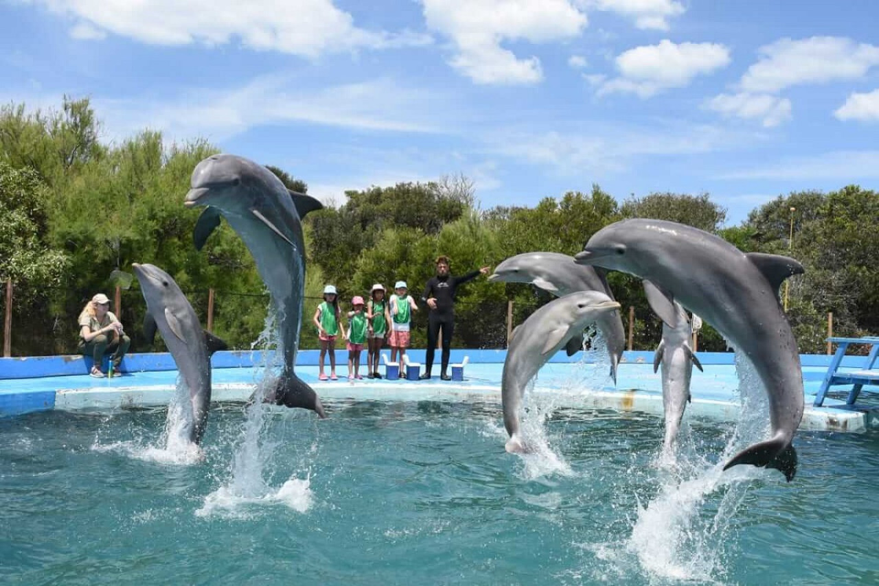 Aquarium de Mar del Plata. Foto: argentina.gob.ar