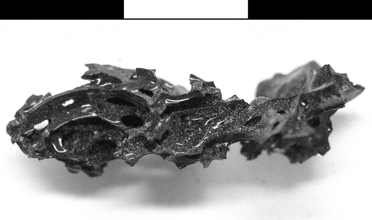 Hallan vidrio orgánico en el cráneo de una víctima de la erupción del Vesubio en año 79. Foto EFE