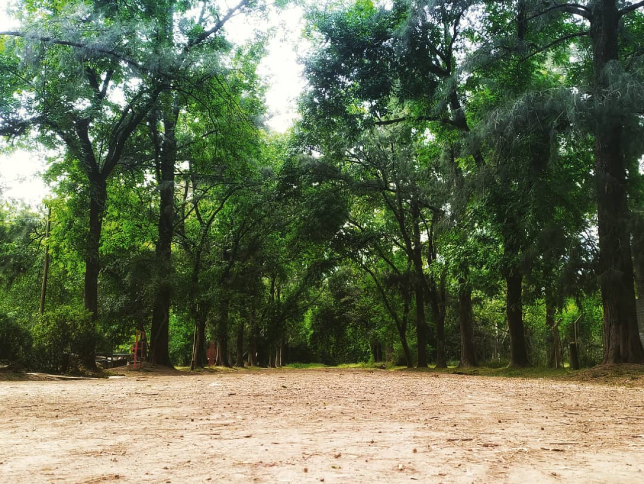 La Reserva Natural Municipal "Los Robles". Foto: Instagram @reservamunicipallosrobles