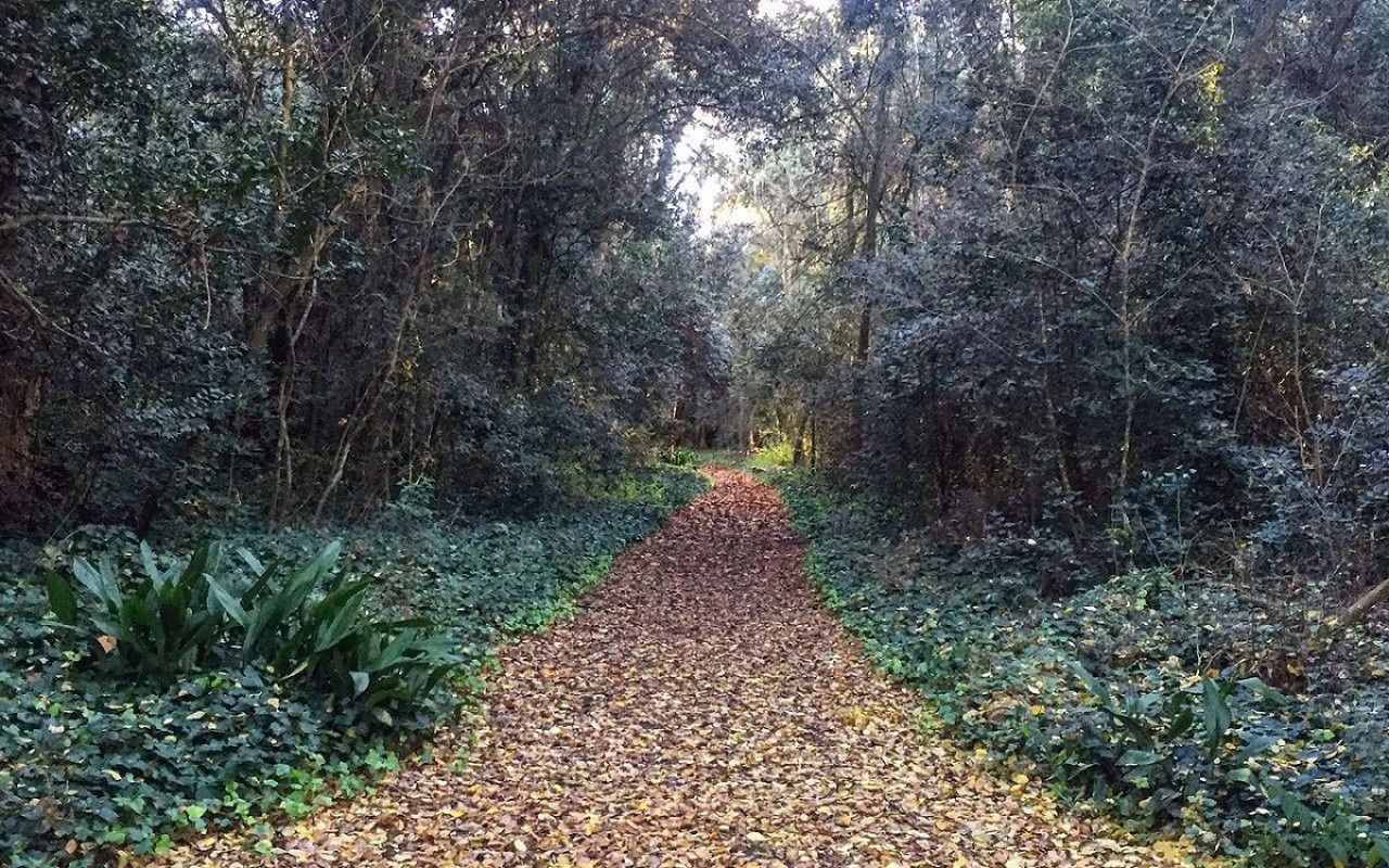 El Bosque Encantado (General Belgrano). Foto: Tripadvisor.