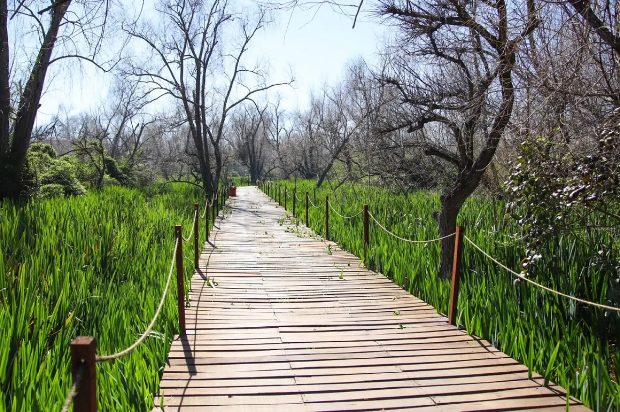 Ecoparque Avellaneda. Foto: Municipalidad de Avellaneda.