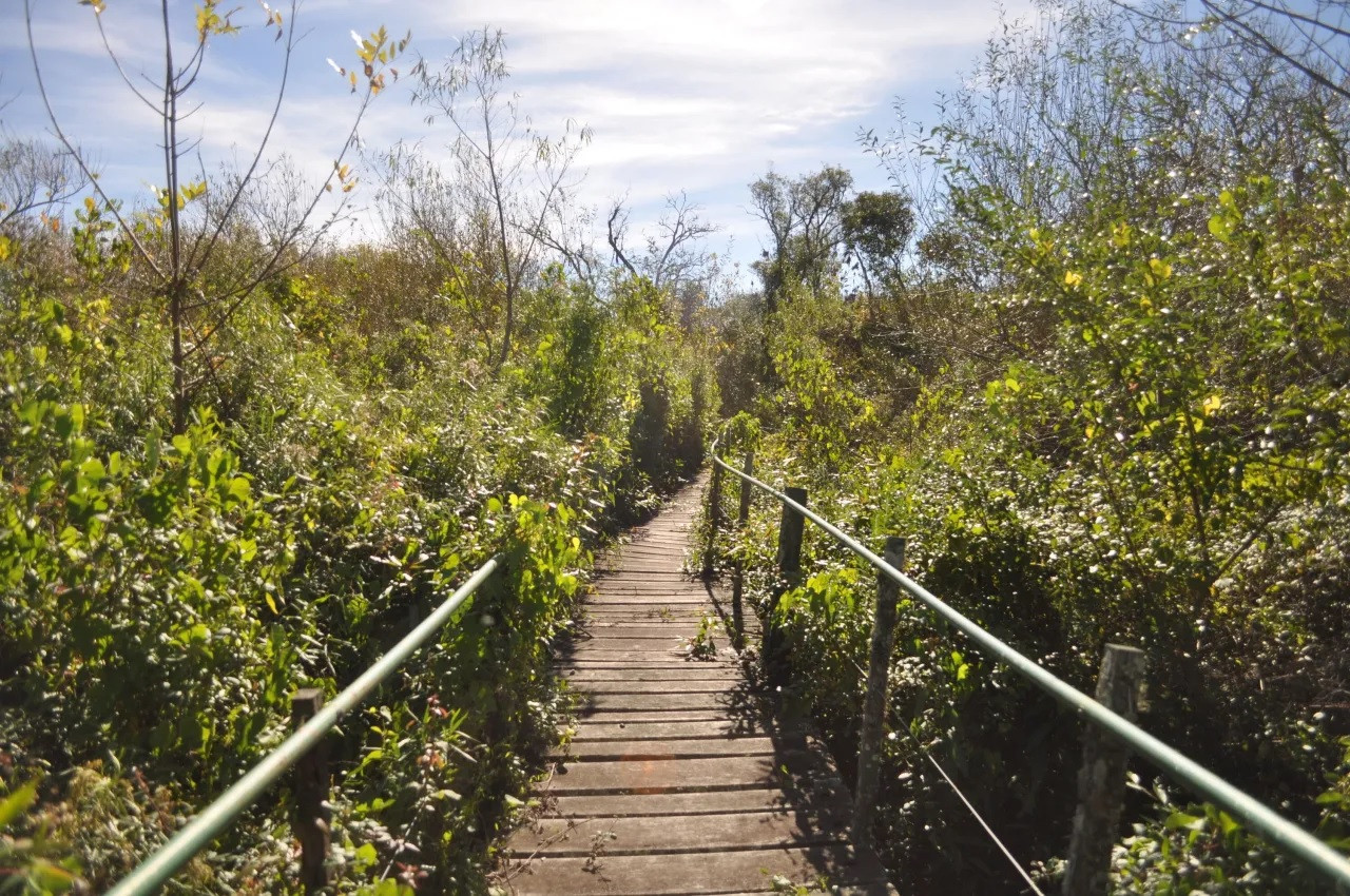 Reserva Natural Punta Lara. Foto: Tripadvisor.