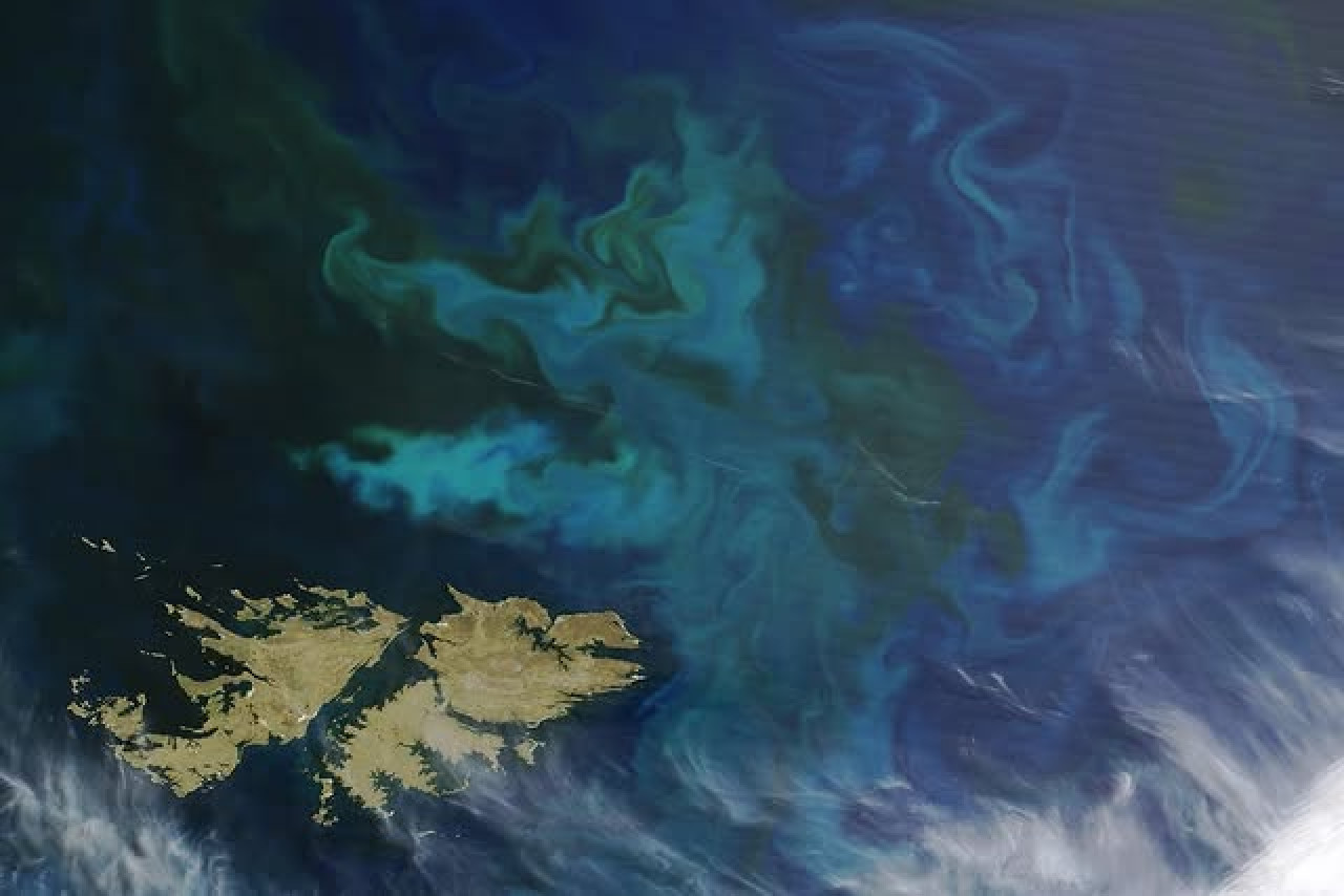 Islas Malvinas. Foto: NASA